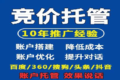 竞价SEM案例分享：行业霸主崛起之路